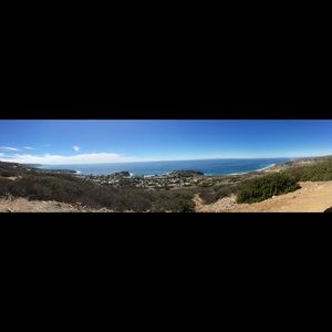 Meet your Posher, Penny